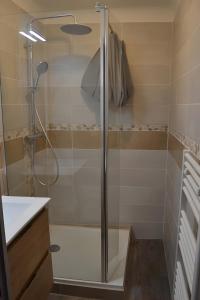 a shower with a glass door in a bathroom at Gite Au Coeur D'Arreau in Arreau