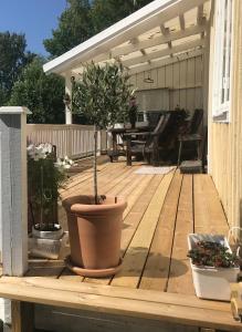 a wooden deck with a potted tree on it at Lakeside House, Storstugan in Ramvik