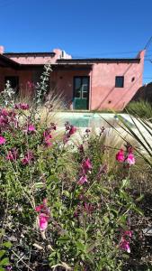 Una casa con flores rosas frente a un edificio. en La Arequera, en San Antonio de Areco