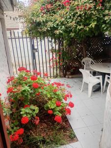 a garden with red flowers and a table and a fence at Casa relax in Coquimbo