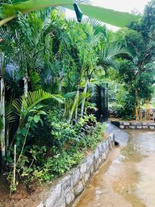 a garden with palm trees and a stone wall at Irishhome stay in Hosūr