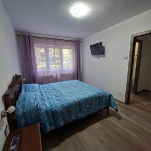 バカウにあるApartament Chrisのベッドルーム1室(青いベッドカバー、窓付)