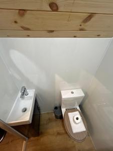 Ένα μπάνιο στο Clogau Tree House Hot tub &sauna +2 φωτογραφίες