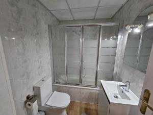 a bathroom with a shower and a toilet and a sink at Apartamento Luisa in Baena