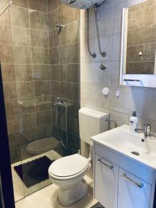 ein Badezimmer mit Toilette, Dusche und Waschbecken in der Unterkunft Junto al mar in Ulcinj