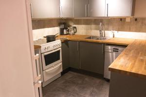 Kuchyň nebo kuchyňský kout v ubytování Charming 2BR Tromso Home Wi-Fi & Heater