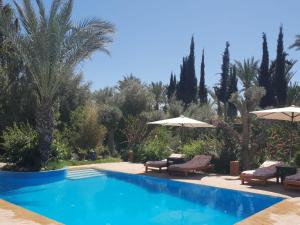 - une piscine avec des chaises, des parasols et des arbres dans l'établissement Villa palmeraie Marrakech, à Najem