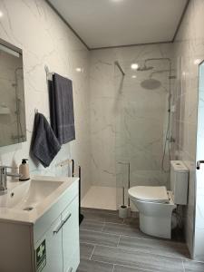 une salle de bain avec une douche, des toilettes et un lavabo dans l'établissement Pousada Teixeira 11A, à São Vicente