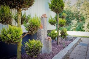 Κήπος έξω από το Ferienhaus Fichtenrauschen