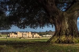 un gran árbol frente a un gran edificio en South Lodge West, en Holkham
