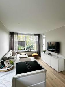 een woonkamer met een bank en een tv bij Beautiful small apartment in the center of Reykjavík in Reykjavík