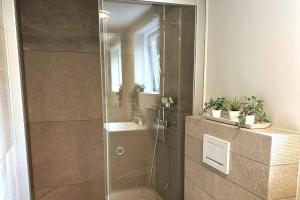 een douche met een glazen deur in een badkamer bij Beautiful small apartment in the center of Reykjavík in Reykjavík +8 foto's