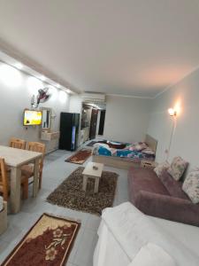 TV a/nebo společenská místnost v ubytování Scandic Resort