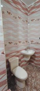 a bathroom with a toilet and a sink at Family apartment LUXOR in Jazīrat al ‘Awwāmīyah