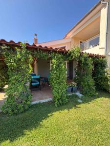 Vườn quanh panorama escape