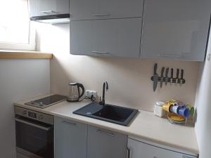 a kitchen with a sink and a counter top at Apartament Pod Lipami in Hajnówka