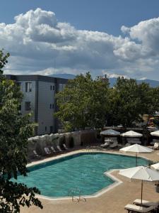 a large swimming pool with chairs and umbrellas at Ивелия Хотел и Спа - Ivelia Hotel & SPA in Dŭbnitsa