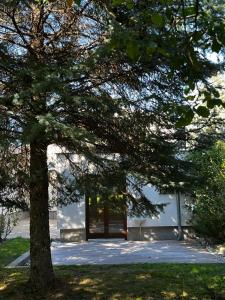 a tree in front of a building at Danube Gardens in Vienna