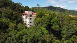 a house on a hill in the middle of trees at Pousada Casa do Reiki in Rancho Queimado