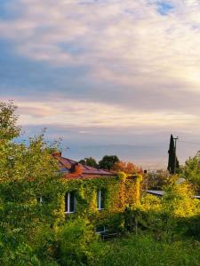 Φυσικό τοπίο κοντά σε αυτός ο ξενώνας