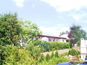 a house with trees and bushes in front of it at Strandhaus an der Wohlenberger Wiek in Hohenkirchen