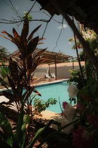a swimming pool in a yard with some plants at Pousada Catavento in São Gonçalo do Amarante +20 photos