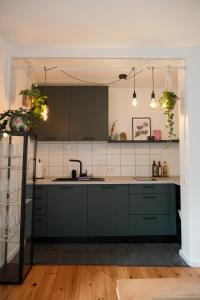 une cuisine avec des armoires vertes et un évier dans l'établissement Kuschelkoje - Ihr gemütliches Ferienzuhause in der Pfalz, à Diedesfeld