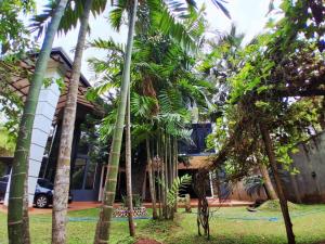 a group of palm trees in front of a house at SummerSet in Dambulla