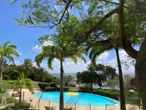 a view of a swimming pool with palm trees at Studios les papillons village vacances in Courcelles Sucrerie