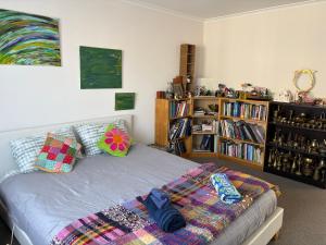 a bedroom with a bed and a book shelf at CareGreen BnB in Napier