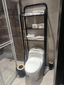 a bathroom with a toilet and towels on a shelf at Alojamiento Acogedor de la mejor zona de Loja in El Recreo +9 photos