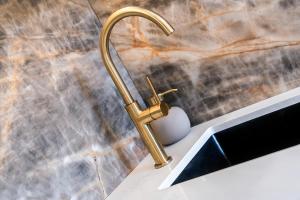 a kitchen sink with a gold kitchen faucet at Vidok 201 in Olsztyn