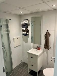 a bathroom with a shower and a sink and a mirror at New apartment in Hoyvík in Hoyvík