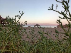 a view of a beach with a gazebo at Geo Tribe in Dahab
