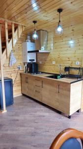 - une cuisine dans une cabane en bois avec un évier dans l'établissement Kolkheti Eco Cottages livlivi ლივლივი - small cottage, à Poti