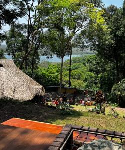 a view of a field with a thatch roof at CasAmor Hostel in Alter do Chao