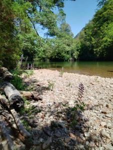 Příroda nedaleko penzionu