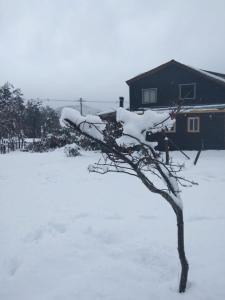 El Guindal Hostal v zimě