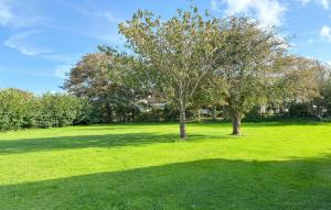 Mandø Byにある2 Bedroom Awesome Home In Ribeの緑草畑の木々