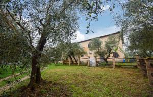 una casa con un árbol en el patio en Awesome Home In Vignanello, en Vignanello 10 fotos más