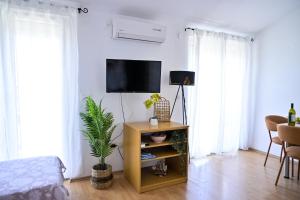 a living room with a tv on a wall at Studio Brodarica 15708b in Ražine