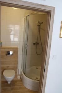 W łazience znajduje się prysznic, toaleta i umywalka. w obiekcie Stara Kamienica Centrum w mieście Mrągowo