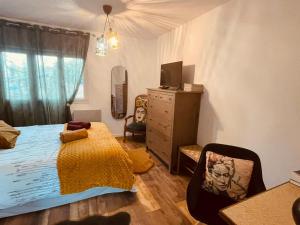 a bedroom with a bed and a dresser and a chair at Maison au bord du lac pour 4 pers. + enfants, nature et tranquillité, animaux admis - FR-1-589-803 in Sanchey