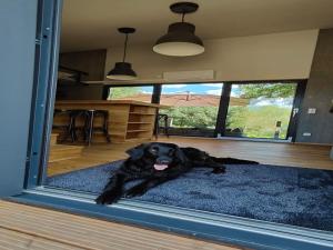 Gallery image of Tiny House near Dresden in Lauterbach