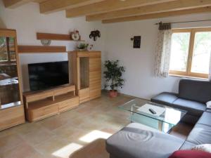 Μια τηλεόραση ή/και κέντρο ψυχαγωγίας στο Holiday home in Regen with swimming pool