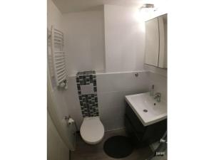 ブラウンラーゲにあるHoliday apartment with 3 bedroomsのトイレと洗面台付きのバスルーム +8枚の写真