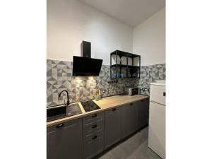 una cucina con un lavello e un piano di lavoro di Apartment Urban Grey a Poreč (Parenzo) Altre 13 foto