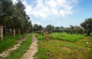 un camino de tierra en medio de un campo en Awesome Home In Vignanello, en Vignanello