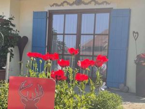 Φωτογραφία από το άλμπουμ του Sun meadow sauna, dogs allowed σε Balderschwang
