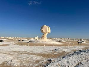 a statue in the middle of the desert at White desert safari in Egypt in Bawiti +59 photos